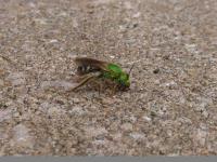 View photo in a new window