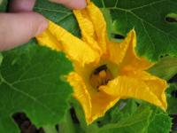 View photo in a new window