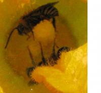 View photo in a new window