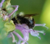 View photo in a new window