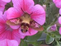 View photo in a new window