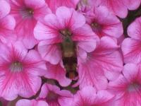 View photo in a new window