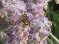 View photo in a new window