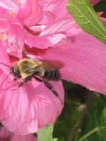 View photo in a new window