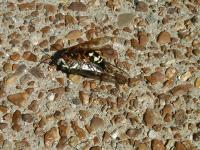 View photo in a new window