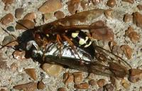 View photo in a new window