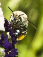 View photo in a new window