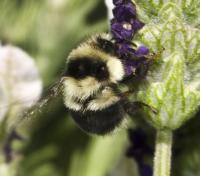 View photo in a new window