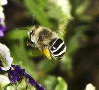 View photo in a new window