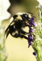 View photo in a new window