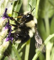 View photo in a new window