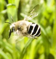 View photo in a new window