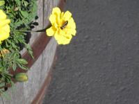 View photo in a new window