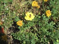 View photo in a new window