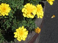 View photo in a new window