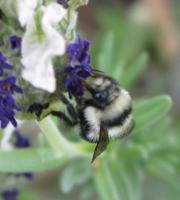 View photo in a new window