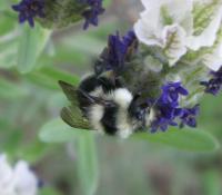 View photo in a new window