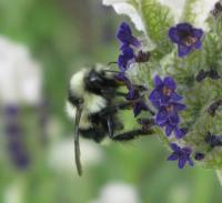 View photo in a new window