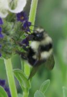 View photo in a new window