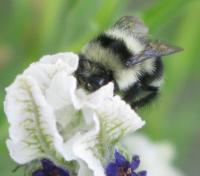 View photo in a new window