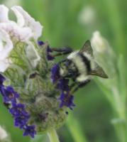 View photo in a new window