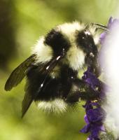 View photo in a new window