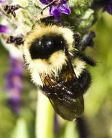 View photo in a new window