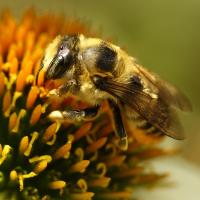 View photo in a new window