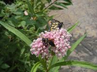 View photo in a new window