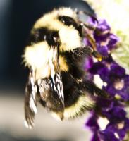 View photo in a new window