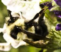 View photo in a new window