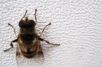 View photo in a new window