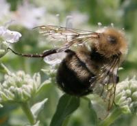 View photo in a new window