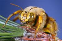 View photo in a new window