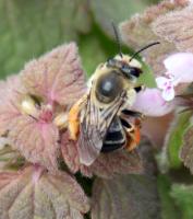 View photo in a new window