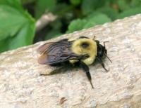 View photo in a new window