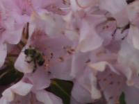 View photo in a new window