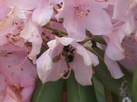 View photo in a new window