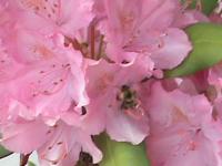 View photo in a new window