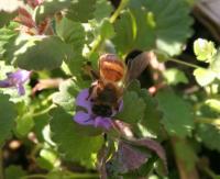 View photo in a new window