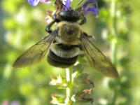 View photo in a new window