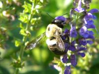 View photo in a new window