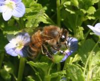 View photo in a new window