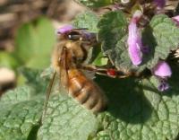 View photo in a new window