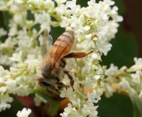 View photo in a new window