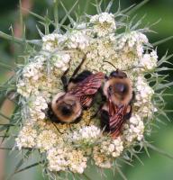 View photo in a new window