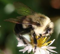 View photo in a new window