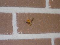 View photo in a new window