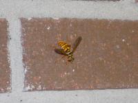 View photo in a new window