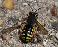 View photo in a new window